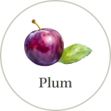 Plum