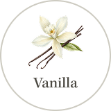 Vanilla